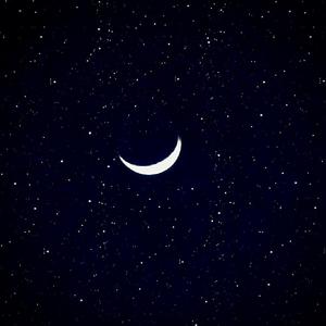 91福利视频免费观看
