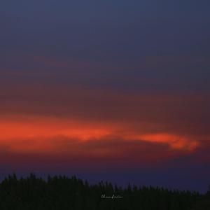 91福利视频免费观看
