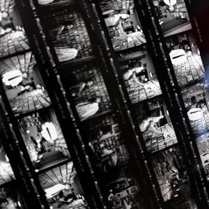 91福利视频免费观看
