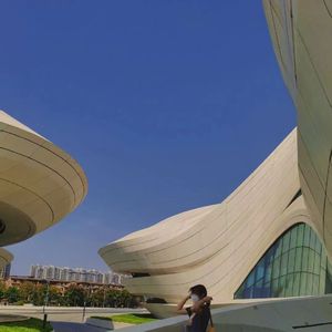 希岛爱理一级毛片
