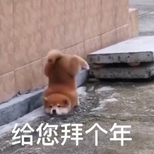 希岛爱理一级毛片
