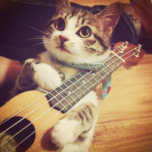 亲嘴造孩子视频大全
