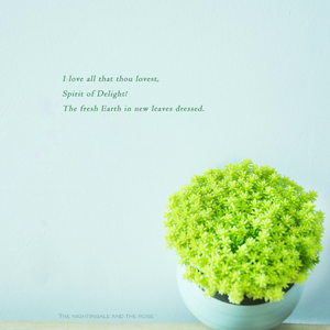 亲嘴造孩子视频大全
