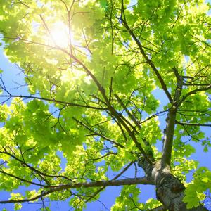 腿打开乖唔好紧好会夹
